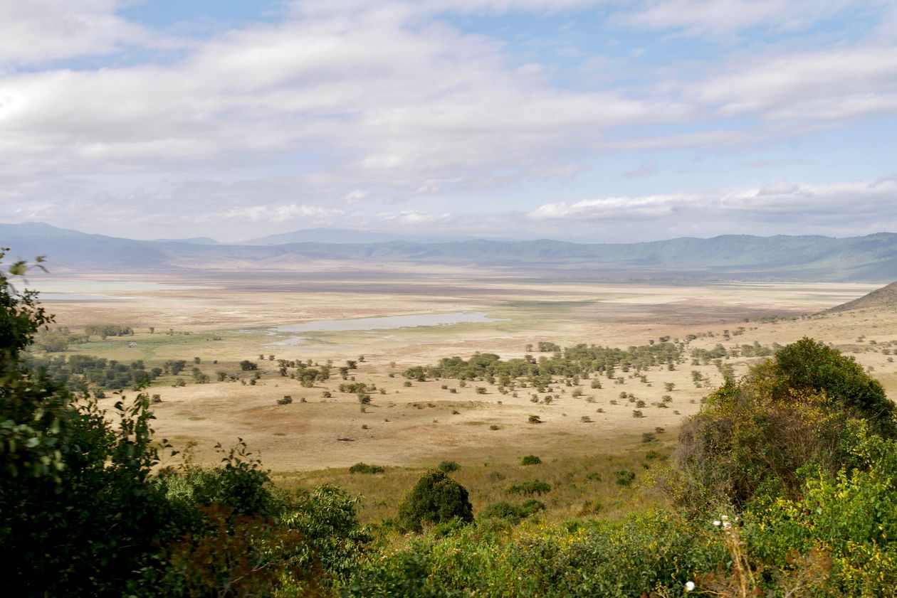 Panoramic view of the Ngorongoro Crater floor and savanna in Tanzania